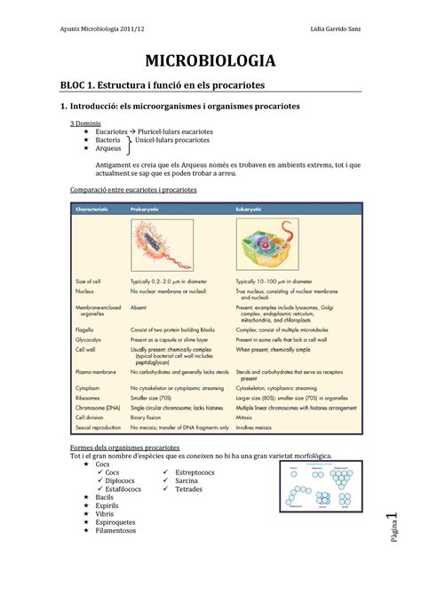 Apunts Microbiologia Todos Los Temas 1 MICROBIOLOGIA BLOC 1