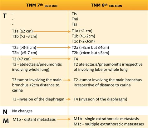 The new database to inform the eighth edition of the tnm classification of lung cancer. The Radiology Assistant : Lung - Cancer TNM 8th edition