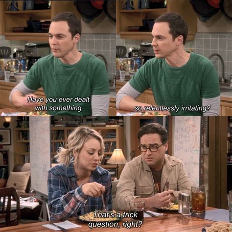 Big Bang Theory Memes Great Tv Shows Stupid Funny Memes Hilarious Tv Quotes Big Band
