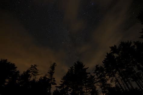 Free Images Nature Forest Sky Night Star Atmosphere