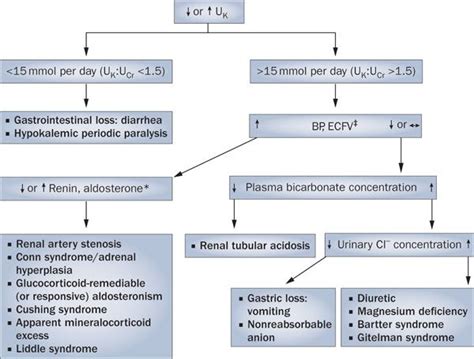 Figure 5 Pathophysiology And Management Of Hypokalemia A Clinical