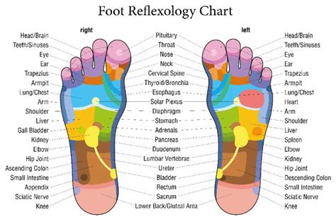 Reflexology To Control Diabetes And Diabetes Symptoms