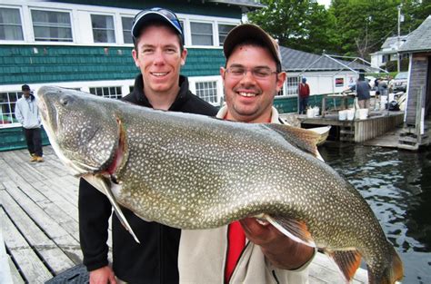 Lake Ontario Lake Trout Fishing Bill Saiff Outdoors