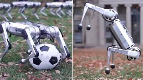 นักฟุตบอลมืออาชีพอาจต้องตกงาน!! เมื่อเหล่าหุ่นยนต์ Mini Cheetah โชว์ ...