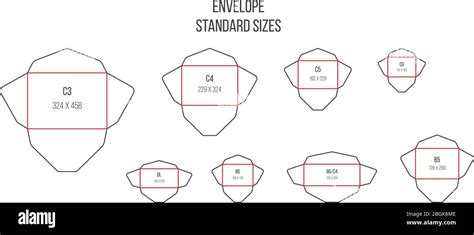 Envelope Standards Letter Standard Sizes Print Cutting Vector