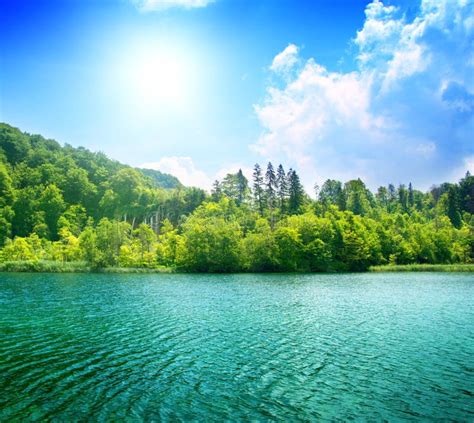 Green Water Lake Stock Image Image Of Croatia Forest 7723581
