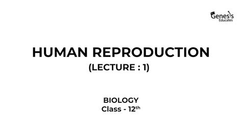 Human Reproduction Lecture 1 Class 12th Biology Youtube