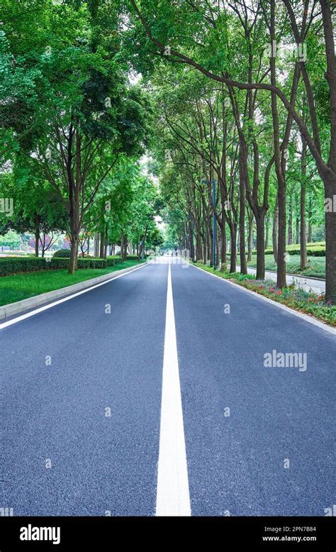 Straight Asphalt Road With Trees On Both Sides Stock Photo Alamy