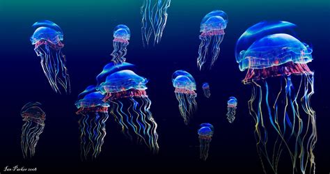 60 4k Ultra Hd Jellyfish Wallpapers Background Images