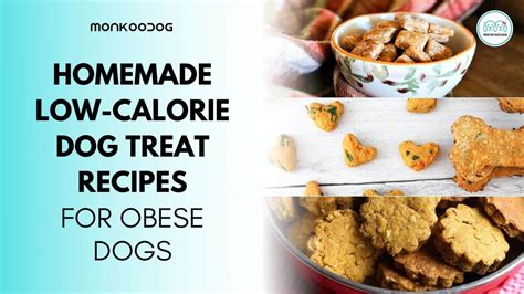 Try these healthy frozen dog treats for a quick and easy dog treat perfect for dogs. Homemade Low-Calorie Dog Treats For Obese Dogs - Monkoodog