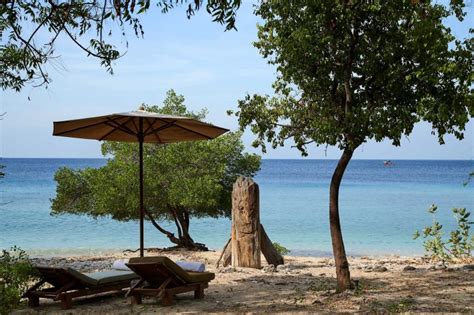 A Guide To Menjangan Island Balis Secret Island Paradise