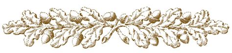 16 Oak Leaf Images With Acorns The Graphics Fairy