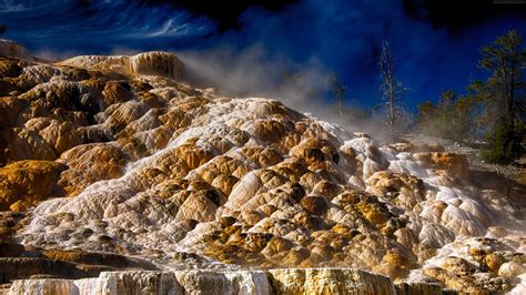 Free Download Dakota Yellowstone 4k Hd Wallpaper National Park Mammoth