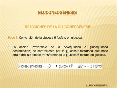 Metabolismo De Los Carbohidratosdiapositivas By Señor Enfermerock Issuu