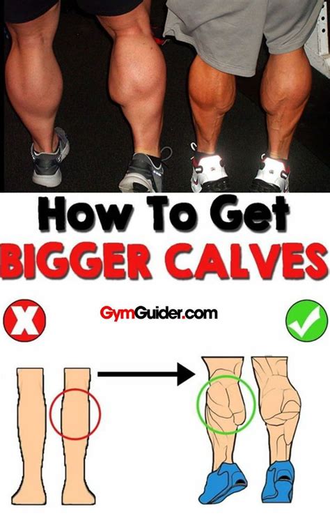 8 Mistakes That Are Keeping Your Calves Small GymGuider Com Calf