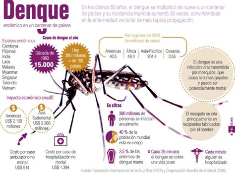 El Dengue En El Mundo