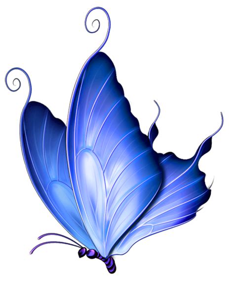 Vintage Butterfly Blue No Back Free Images At