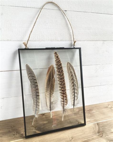 Four Beautiful Pheasant Feathers Framed In A Large Hanging Glass Photo