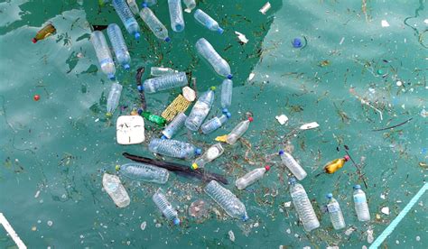 生分解性プラスチック（せいぶんかいせいプラスチック / biodegradable plastic）は、プラスチックの一種である。 1989年の生分解性プラスチック研究会により、「自然界において微生物が関与して環境に悪影響を与. 【日本】政府、海洋プラスチックごみ対策アクションプラン ...