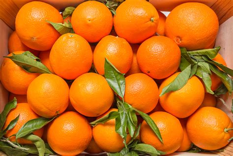 Quick And Easy Recipes With Valencia Oranges You Need To Try Natures