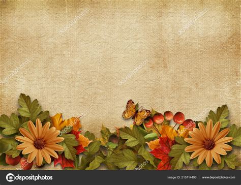Vintage Background Beautiful Border Autumn Leaves Berries Place Photo