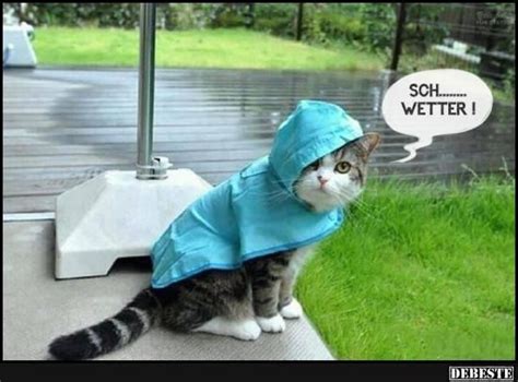 Heftige unwetter über nrw am 9.6.2014. Die besten 25+ Regen bilder lustig Ideen auf Pinterest