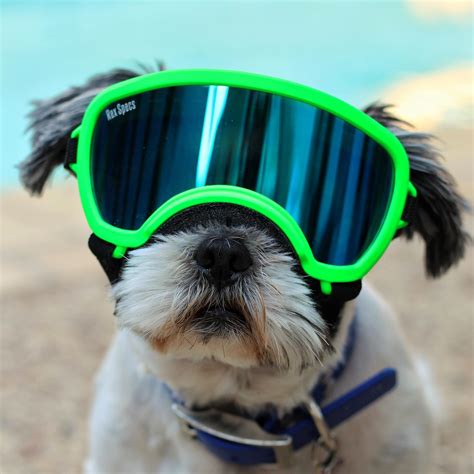 Rex Specs Dog Goggles Neon Green Baxterboo