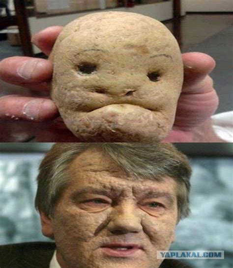 Potato Face 21 Pics