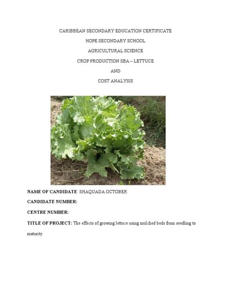 Agricultural Science Sba Quada Copy Repaired Pdf Mulch Lettuce