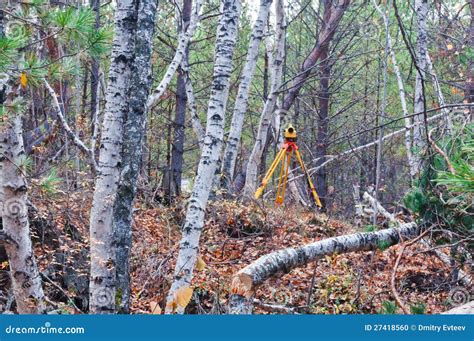 Forest Survey Stock Photo Image 27418560