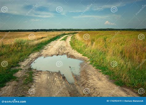 A Large Puddle On A Rural Sandy Road Through Fields Stock Image Image