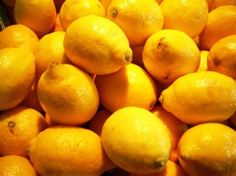 Lemon Lemons Citrus Free Photo On Pixabay Pixabay