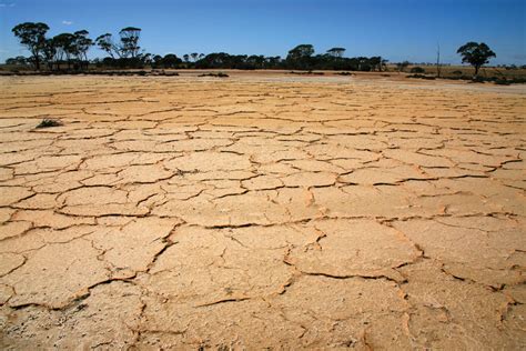 What Should Australia Do About Drought