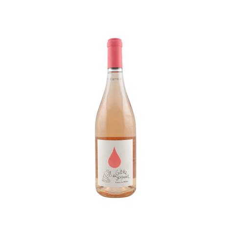 La Goutte Du Seigneur Rosé Bernard Duseigneur Vin Rhône Bio 2019