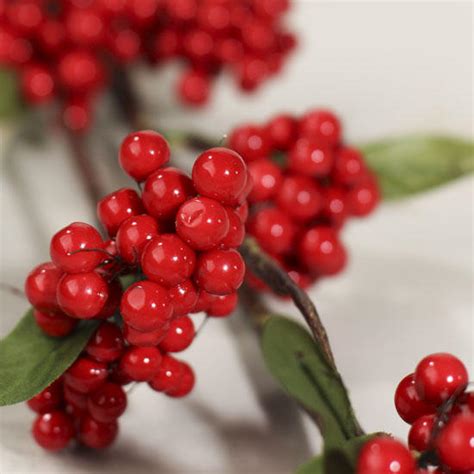 Check spelling or type a new query. Red Berry Cluster and Leaves Stem - Stems + Branches ...