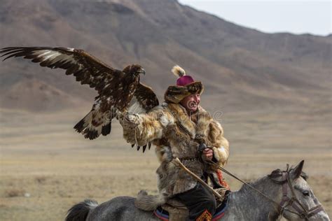 Kazakh Eagle Hunter Berkutchi Con El Caballo Mientras Que Caza A Las