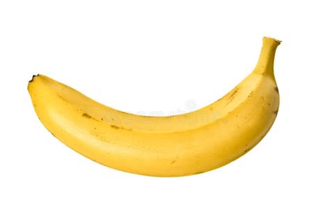 Single Banana Isolated On A White Background Stock Photo Image Of