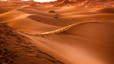 Dessert Sand Dunes 4k Wallpaper 4k