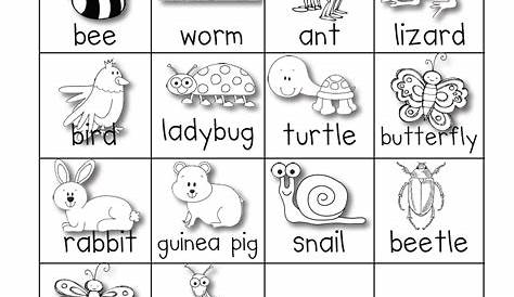 insects worksheets for kindergarten