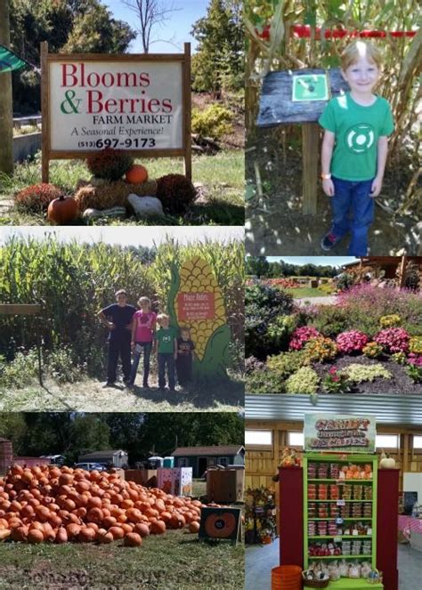 Blooms And Berries Farm Market We Spent The Day Having Tons Of Fun At