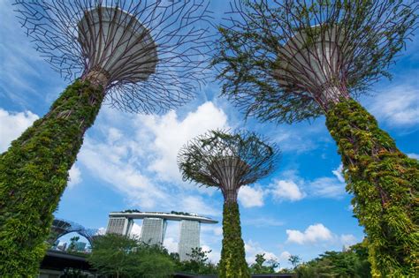 Exploring The Best Green Spaces In Singapore