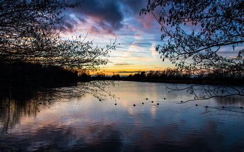 Download Wallpaper 3840x2400 Lake Trees Branches Sunset Dusk 4k