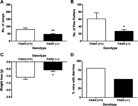 Maybe you would like to learn more about one of these? FAAH( Ϫ / Ϫ ) mice display attenuated naloxone-precipitated withdrawal... | Download Scientific ...