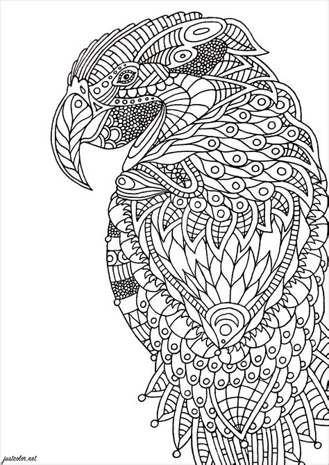 Parrot Zentangle Birds Adult Coloring Pages