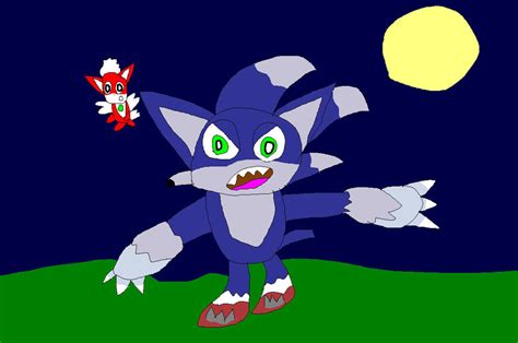 Sonic The Werehog And Chip By Supersmashcynderlum On Deviantart