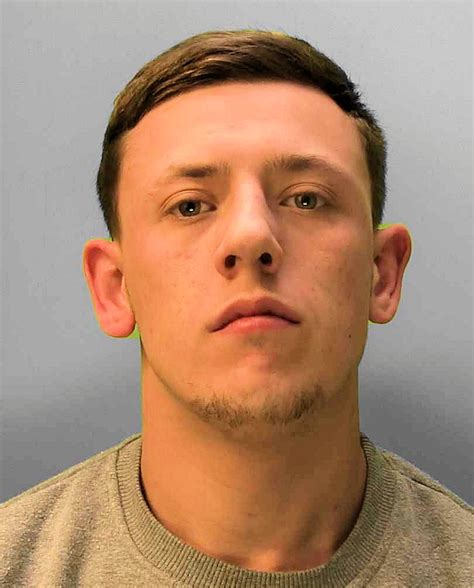 police arrest wanted man from brighton brighton and hove news
