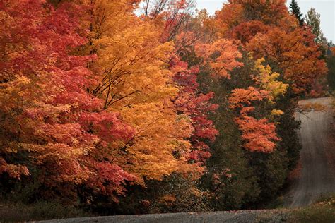 Autumn Colours Flickr