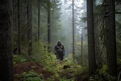 A Glimpse Into The Extraordinary World Of Libra Natives Those Born On October 16th