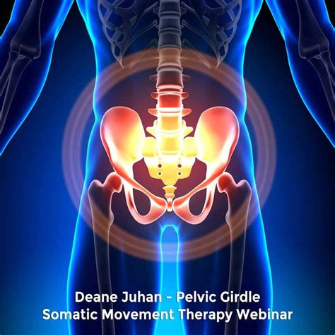 Deane Juhan Somatic Movement Therapy Pelvic Girdle Jobsbody Deane Juhans Official Website