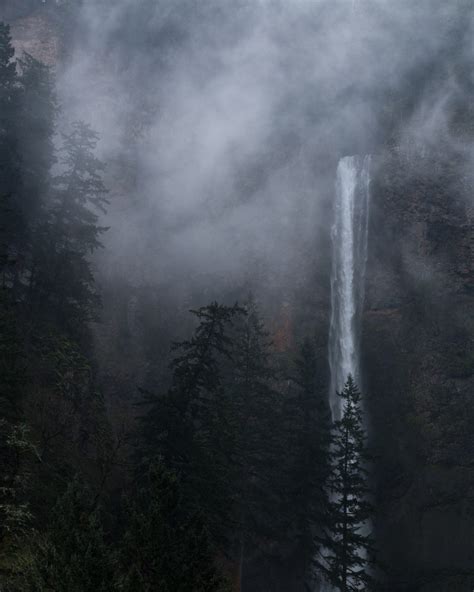 Free Images Water Nature Forest Mountain Cloud Fog Mist